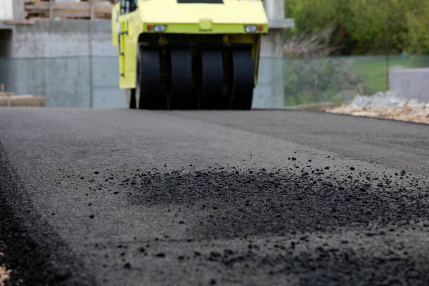 Best Professional Driveway Pavers  in Montezuma, IA